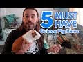 5 MUST HAVE Guinea Pig Items