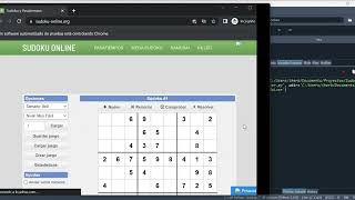Automatic Sudoku Solver with Python