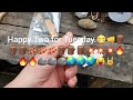 Beginning of video
