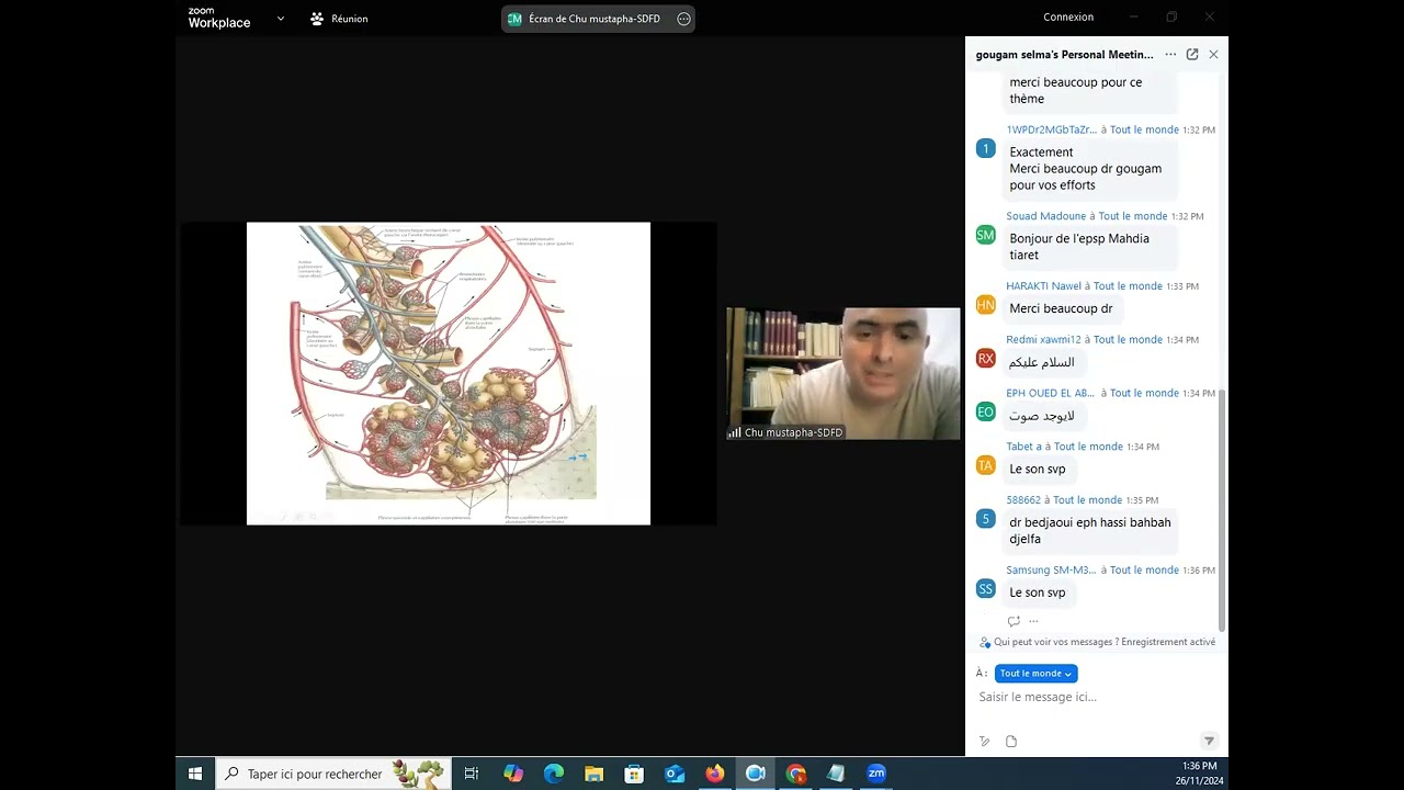 Radiographie du thorax 26 nov 2024