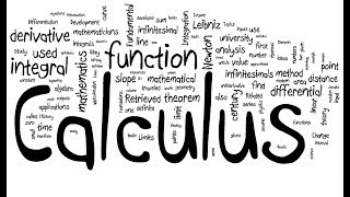 Celebrity Calculus in a Nutshell Net Worth