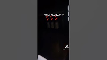 TikTok | Millenium Falcon ride funny