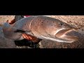 Рыбалка на Тайменя. Якуб Вагнер  Монголия часть  2. Monster fish