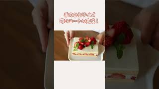 手のひらサイズの苺ショートケーキ　#苺ショート　#フランス菓子教室　#Shorts