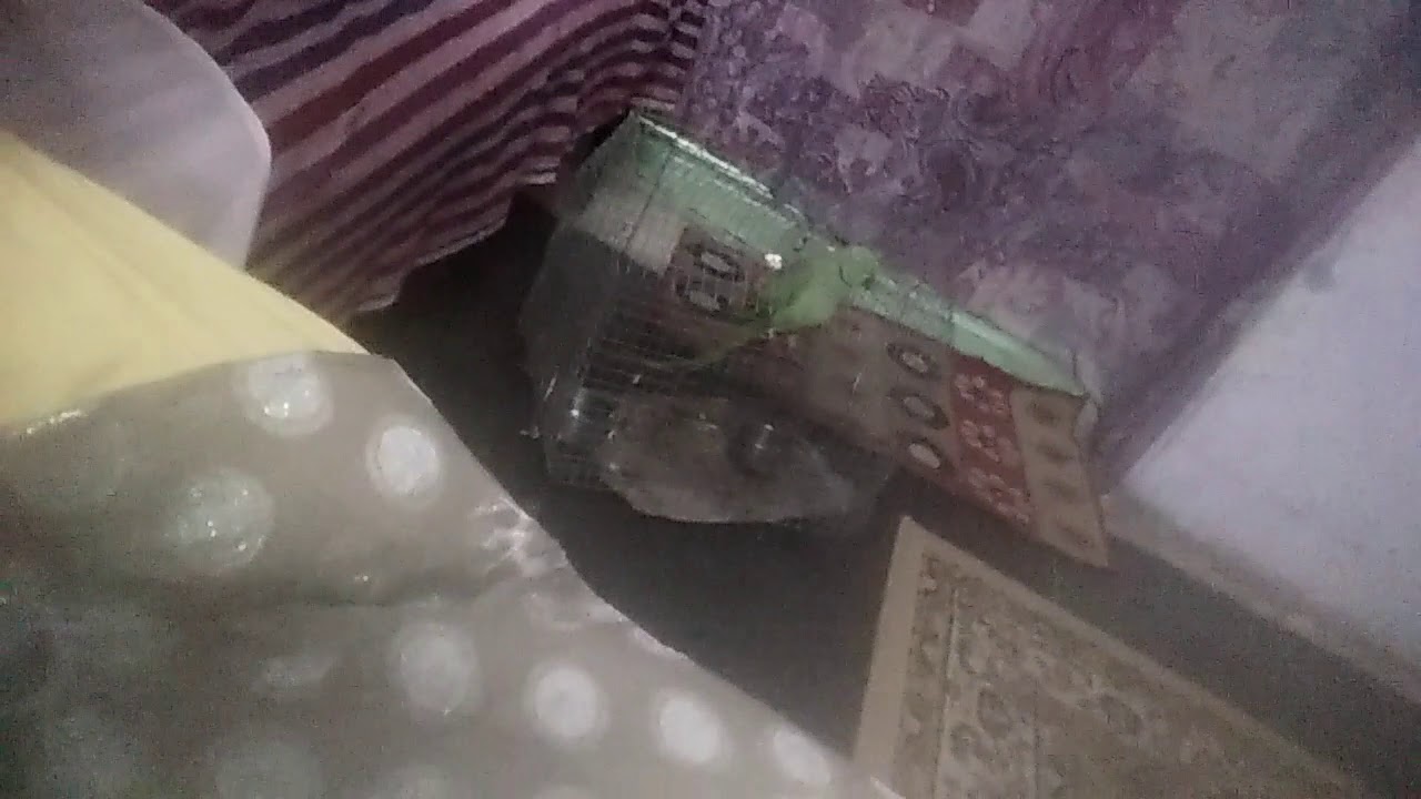 Scarf mask - YouTube