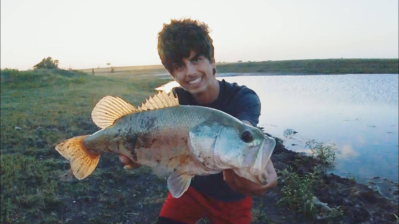 Live bait Fishing a TEXAS POND YouTube
