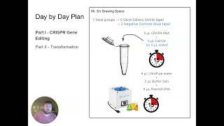 CRISPR in Action Pre-Lab