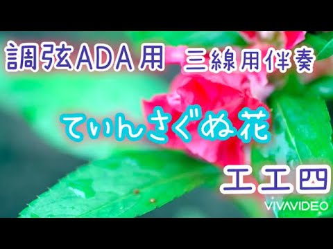 【ADA】てぃんさぐぬ花（沖縄民謡）三線調弦ADA用伴奏  弾き語り用簡単アレンジ工工四