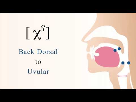 [ χˁ ] unvoiced pharyngealized dorsal uvular non sibilant fricative