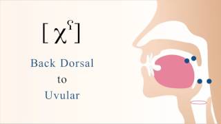 [ χˁ ] unvoiced pharyngealized dorsal uvular non sibilant fricative