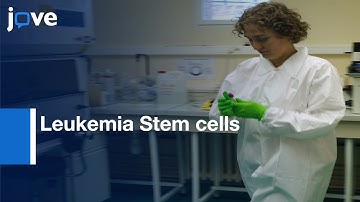Flow Cytometry to Estimate Leukemia Stem cells | Protocol Preview