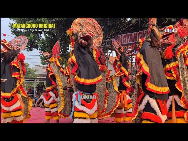 Pentas Sebelum Puasa. Jaranan Mayangkoro Original Rampak Barong class=