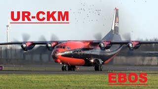 UR-CKM in Cavok Antonov 12 colors , Ostend Airport