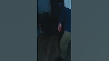 GRIDDY gone very very wrong.. - [Livestream] #live #shorts #dance