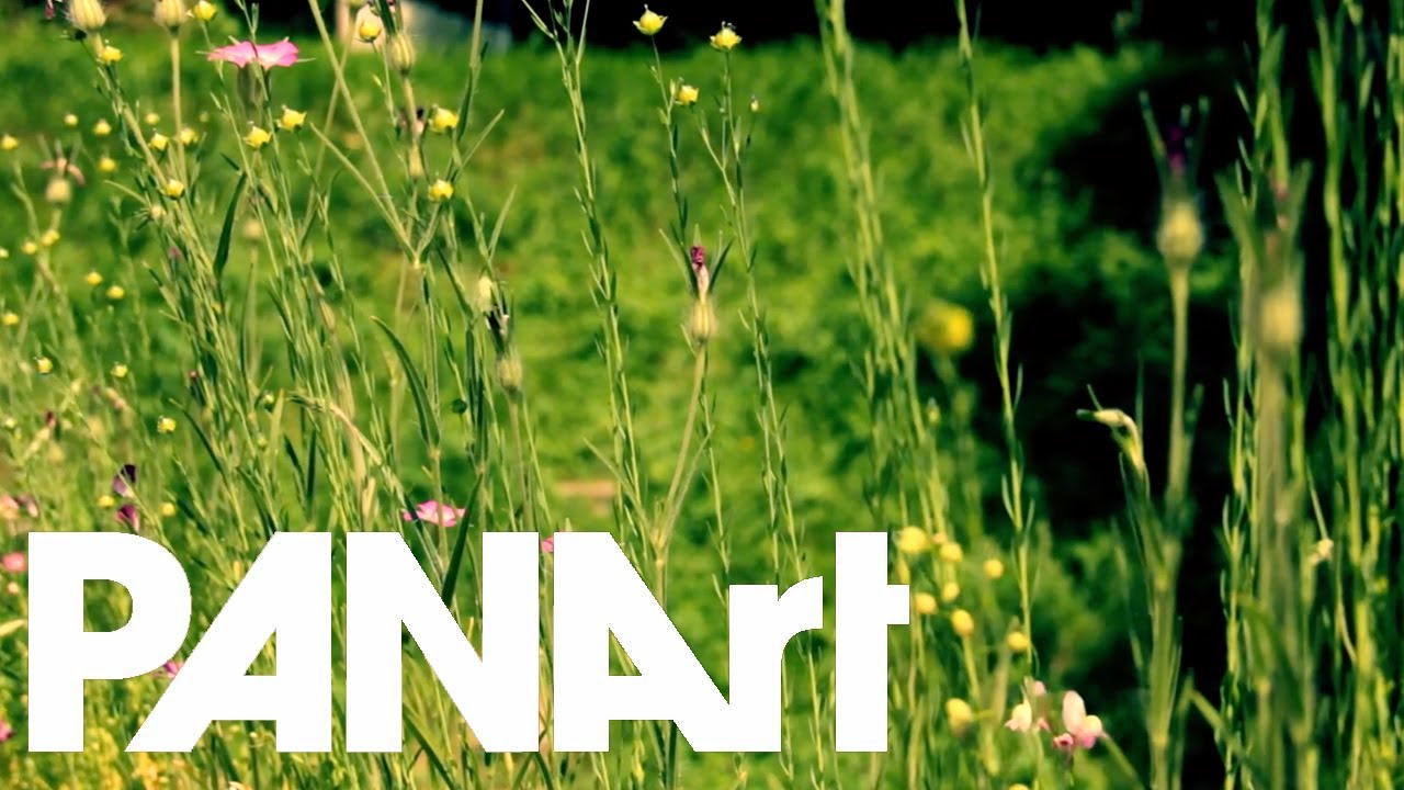 Musik nach der Arbeit X - PANArt Pang Ensemble - 14.06.2017