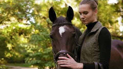 Contractual term or representation   www.e-lawresources.co.uk