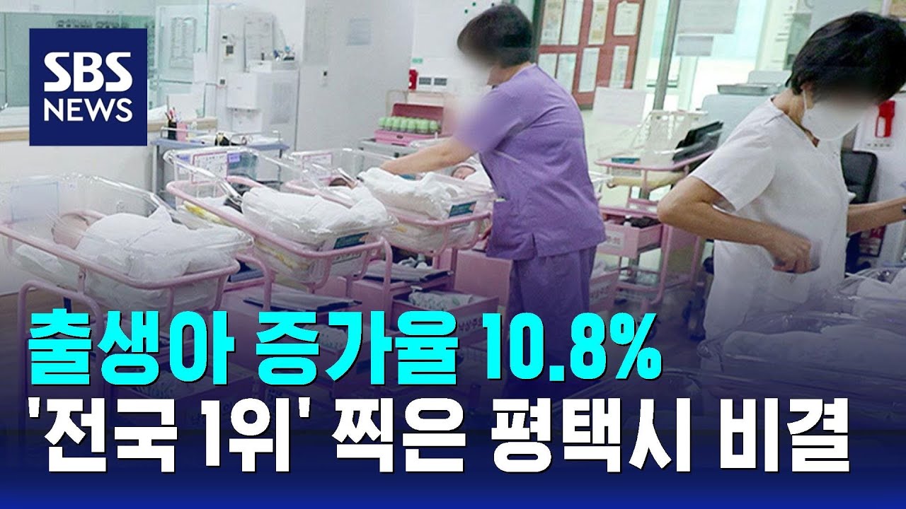 평택시, 출생아 증가율 10.8%로 '전국 1위'…비결은? / SBS