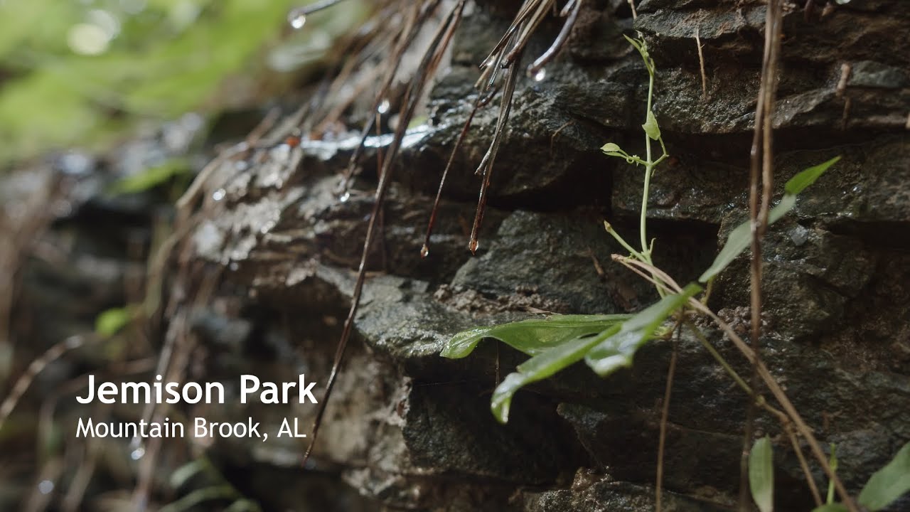 Jemison Park Walking Trail 4K YouTube