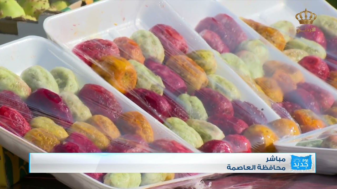 يوم جديد  المركز الوطني للبحوث الزراعية  موسم التين الشوكي الصبار