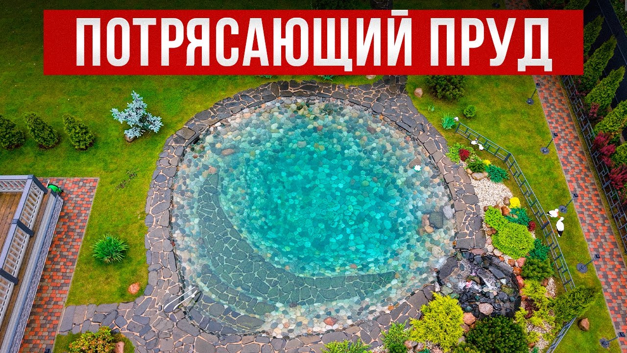 Купальный пруд вместо бассейна: реальный опыт спустя 3 года