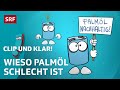 Warum ist Palmöl problematisch? | Clip und klar! | SRF Kids – Kindervideos