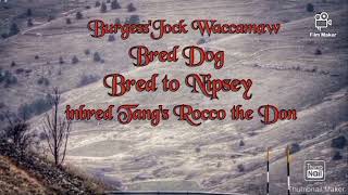 Scratch Breeding And Crosses The History