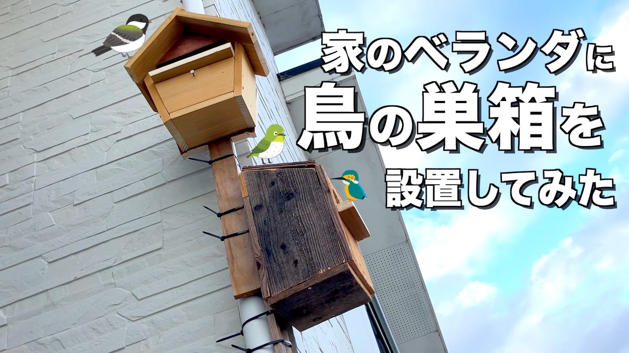 住処を失った鳥たちに巣箱を作ってあげてみた。