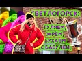 СВЕТЛОГОРСК: море еды и напитков!