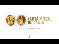 LIVE - Florin Ianovici - Cauta miezul, nu coaja