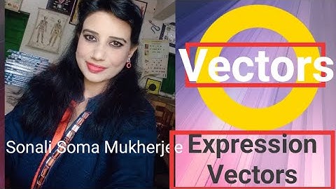 cloning and expression vectors