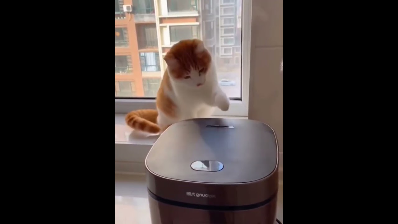 Help, I cannot breathe 😭😂😂 