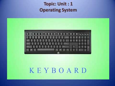 Grade 3 Computer Science Unit:1 Operating System