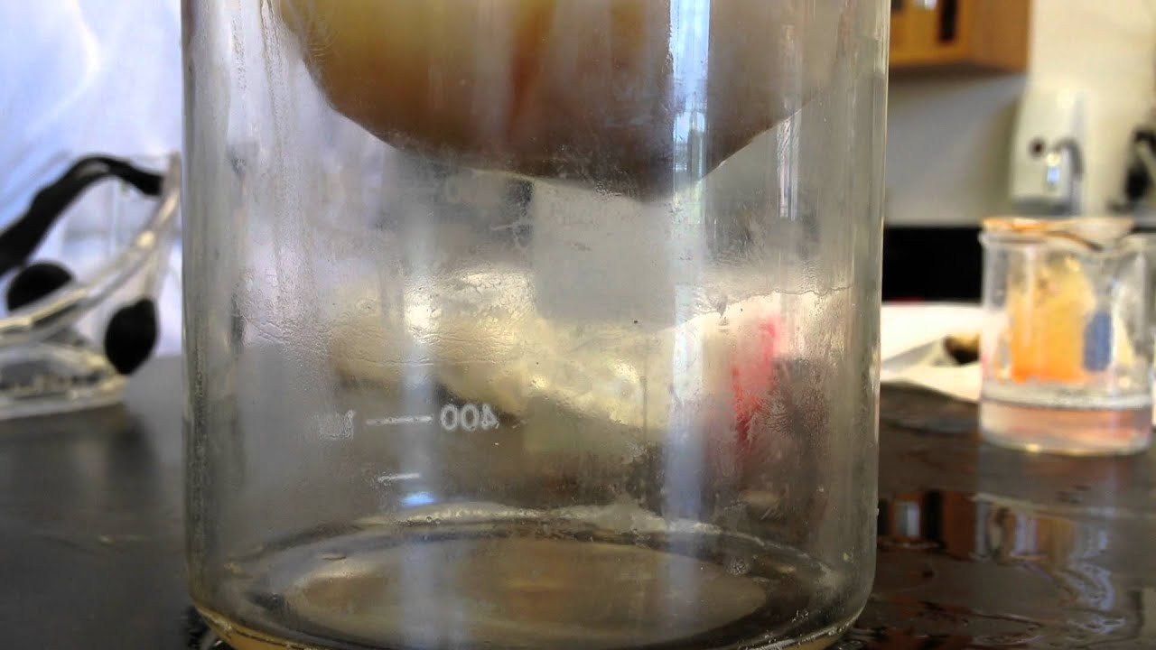 How to extract the DNA from a banana YouTube