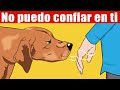 Los Científicos Confirman Que Los Perros Pueden Identificar A Las Malas Personas