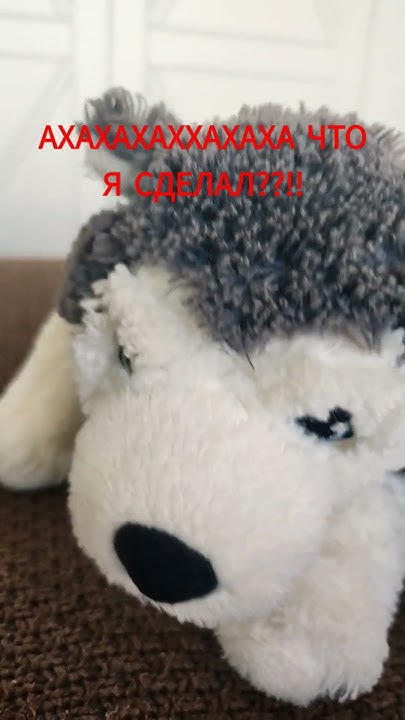 #РАКЕТНЫЙ ЁЖИК #РАСТРЕЛЯТЬ #ёжик #чихает - YouTube