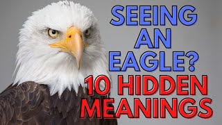 Eagle spirit animal - What It Means When You Notice An Eagle?