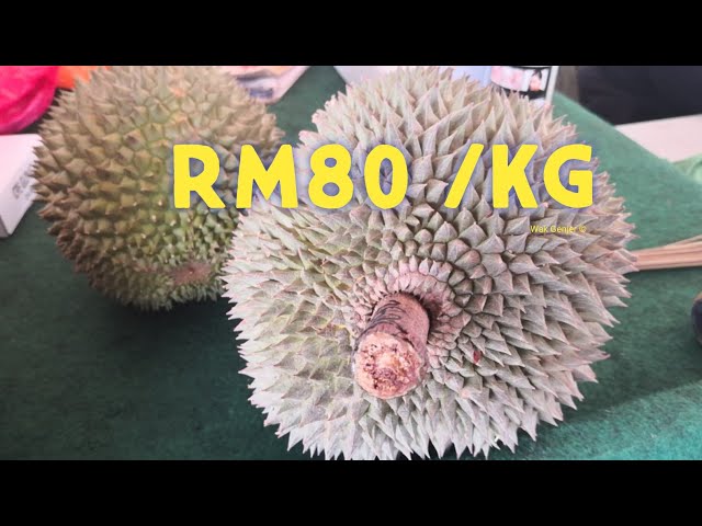 Durian Orang Ramai Cari D200 Durian Duri Hitam Tapi Harganya. class=