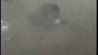 Raygunn Vs. Macho Sasquatcho Punk Dance-Off