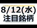 【8月12日(水)の注目銘柄】本日の株式相場振り返りと明日の注目銘柄を解説