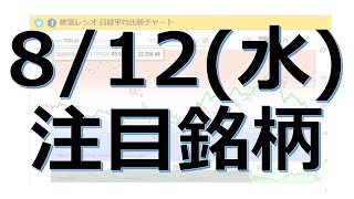 【8月12日(水)の注目銘柄】本日の株式相場振り返りと明日の注目銘柄を解説