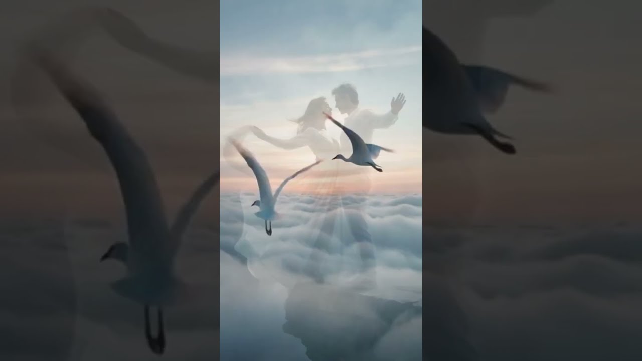 Крылья за спиной🪽