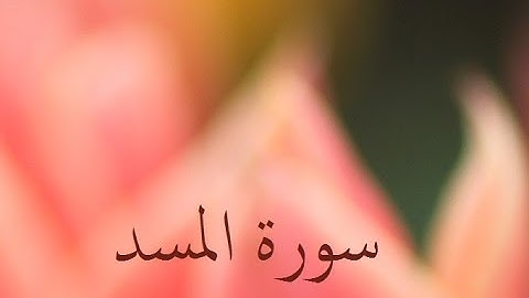 سورة المسد 111