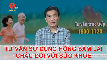TƯ VẤN SỬ DỤNG HỒNG SÂM LAI CHÂU ĐỐI VỚI SỨC KHỎE | TƯ VẤN SỨC KHỎE