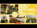 Start a veggie patch with me in 2026 🥕🥦🫜| ROOTS Allotment