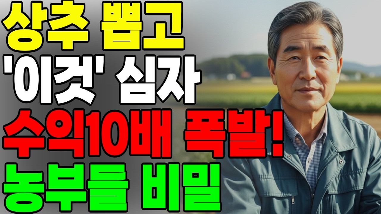 상추 다 뽑고 이것 심었습니다. 종묘사사장도 쉬쉬하는 황금작물!!                            상추대비 수익10배. 지금 안심으면 후회합니다.