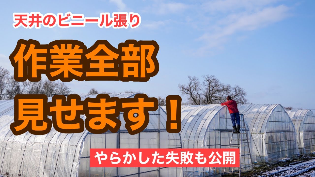 【ビニールハウス建て】天井のビニール張りを詳細解説（前編）