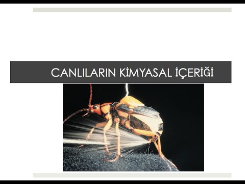 #biyoloji #genel biyoloji BÖLÜM 2: Canlıların Kimyasal İçeriği