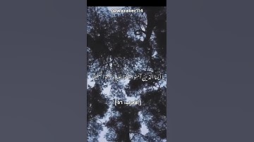 جمعة مباركة - سورة الاحزاب اية (56)#يوم_الجمعة #ليلة_الجمعة #جمعه_مباركه #الصلاه_على_النبي