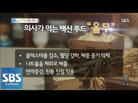 율무차만들기 추천