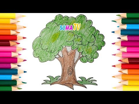 Bé tập vẽ tranh - Dạy bé vẽ và tô màu Cây Xanh cực kỳ nhanh và đơn giản - How to draw a tree easy